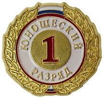 Купить Значок ZRJ