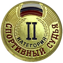 Купить Значок ZS
