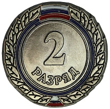 Купить Значок ZRV